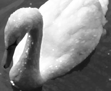 Photoshop CS4 - _394.jpg