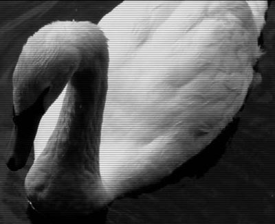 Photoshop CS4 - _370.jpg