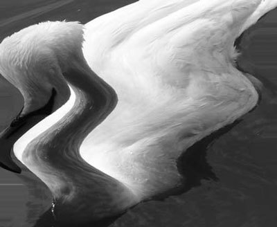 Photoshop CS4 - _341.jpg