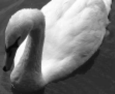 Photoshop CS4 - _355.jpg