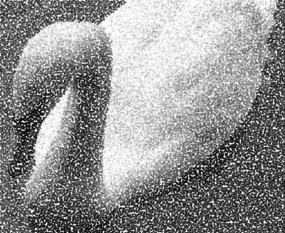 Photoshop CS4 - _356.jpg