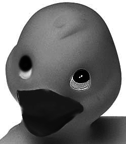 Photoshop CS4 - _102.jpg