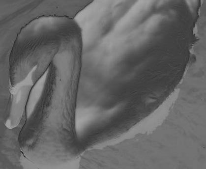 Photoshop CS4 - _307.jpg