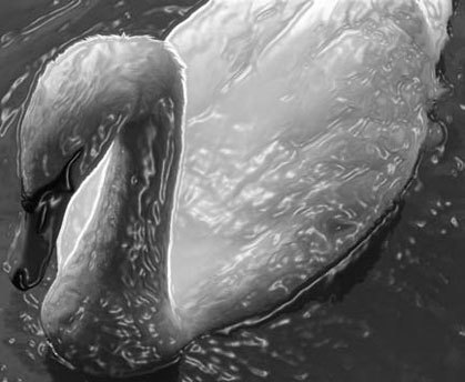 Photoshop CS4 - _310.jpg