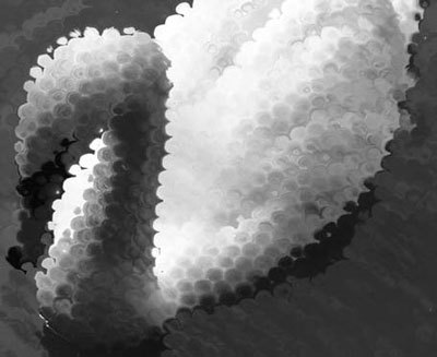 Photoshop CS4 - _334.jpg