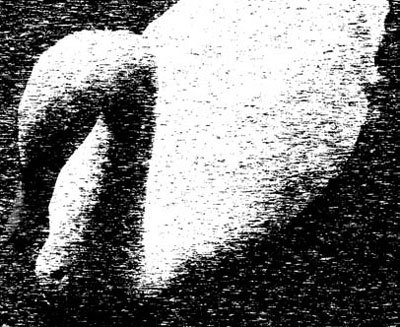 Photoshop CS4 - _354.jpg