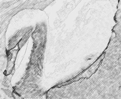 Photoshop CS4 - _366.jpg