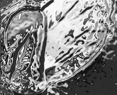 Photoshop CS4 - _367.jpg