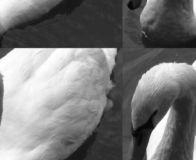 Photoshop CS4 - _396.jpg