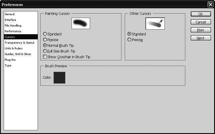 Photoshop CS4 - _14.jpg