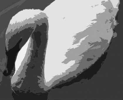 Photoshop CS4 - _303.jpg