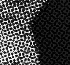 Photoshop CS4 - _70.jpg