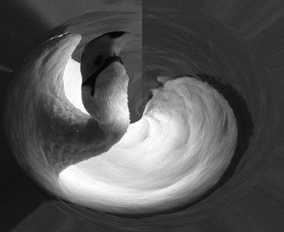 Photoshop CS4 - _339.jpg