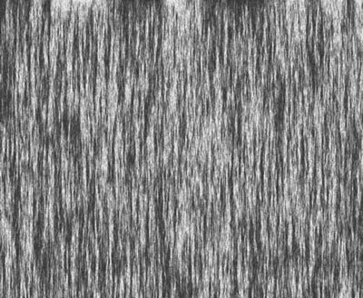 Photoshop CS4 - _359.jpg