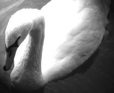 Photoshop CS4 - _361.jpg