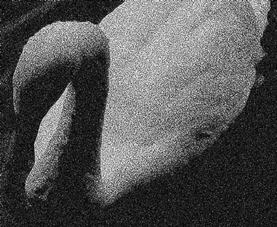 Photoshop CS4 - _374.jpg