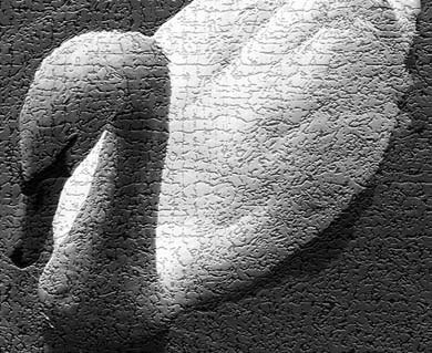 Photoshop CS4 - _387.jpg