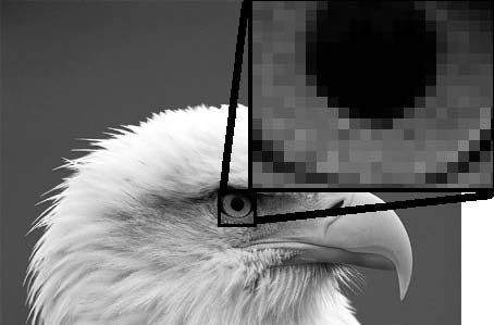 Photoshop CS4 - _1.jpg