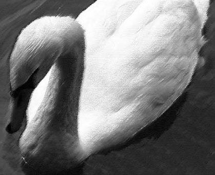 Photoshop CS4 - _312.jpg