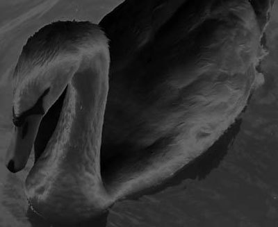 Photoshop CS4 - _383.jpg