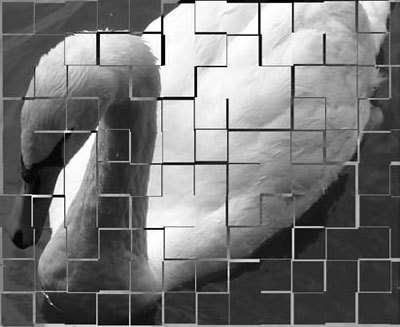 Photoshop CS4 - _384.jpg