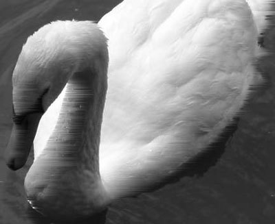 Photoshop CS4 - _386.jpg