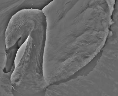 Photoshop CS4 - _393.jpg