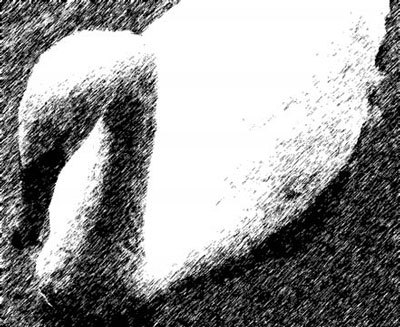 Photoshop CS4 - _369.jpg