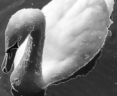 Photoshop CS4 - _323.jpg