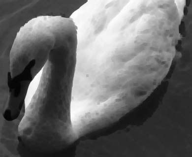 Photoshop CS4 - _395.jpg