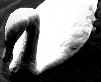 Photoshop CS4 - _328.jpg