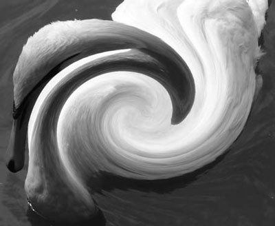 Photoshop CS4 - _343.jpg