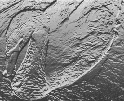 Photoshop CS4 - _364.jpg