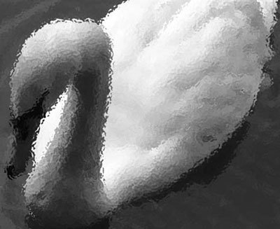 Photoshop CS4 - _337.jpg