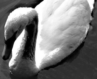 Photoshop CS4 - _363.jpg