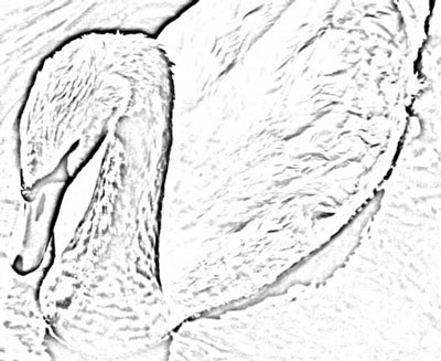 Photoshop CS4 - _372.jpg