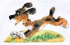 Бобик в гостях у Барбоса - pic3.jpg