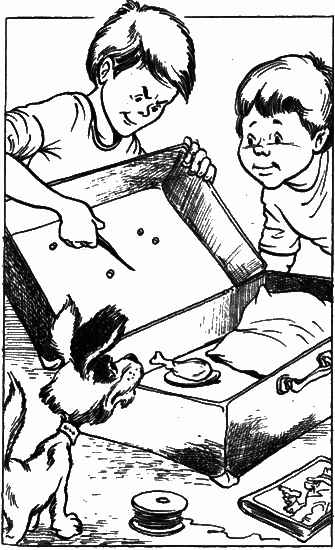 Невероятные истории. Сборник рассказов и повестей - i_010.png