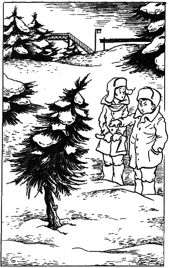 Невероятные истории. Сборник рассказов и повестей - i_017.png