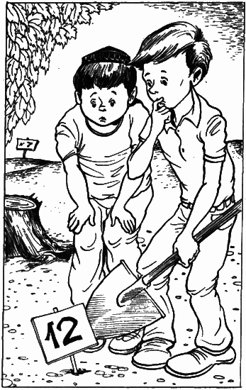 Невероятные истории. Сборник рассказов и повестей - i_024.png