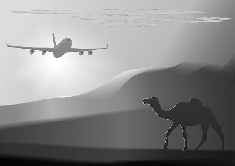 Подарок Сахары - i_001.jpg