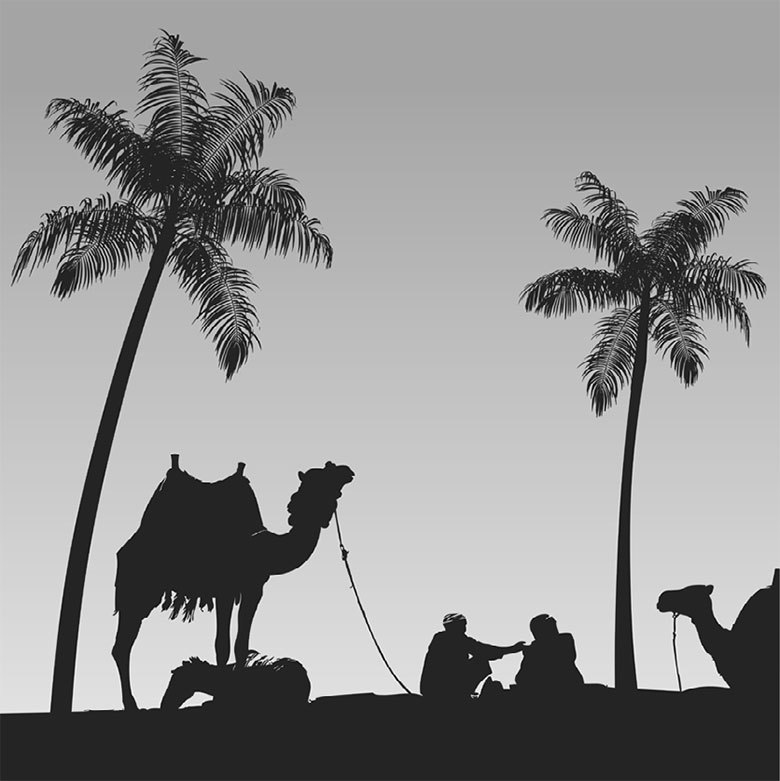 Подарок Сахары - i_004.jpg