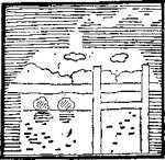 Беседы при ясной луне. Рассказы - i_005.jpg