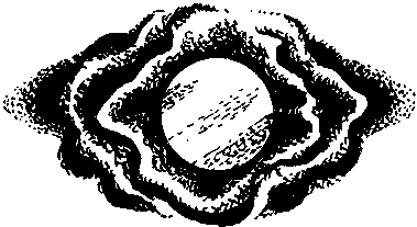 Кладовая веков - _9.png