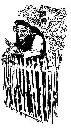 Собрание сочинений. Т.11.  - i_040.png