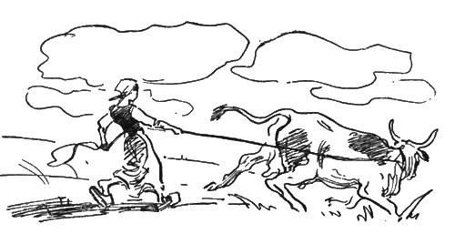 Собрание сочинений. Т. 12. Земля - i_002.png