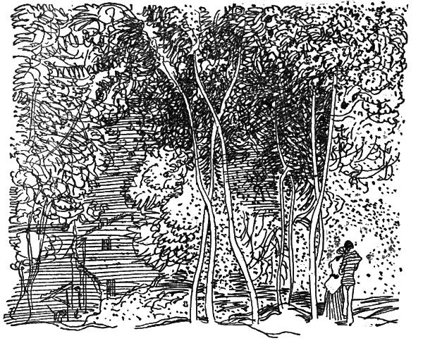 Собрание сочинений. Т.13. - i_019.png