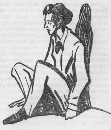 Собрание сочинений. т.2.  - i_028.jpg