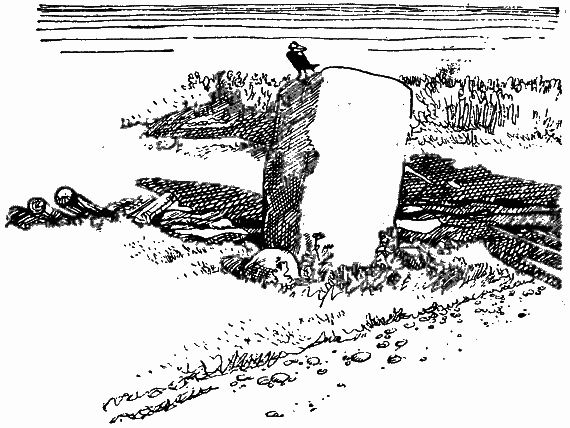 Том 2. Золотой теленок - i_036.png