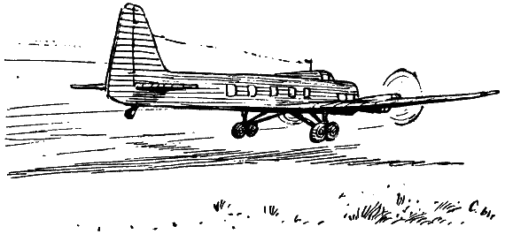 Том 2. Золотой теленок - i_040.png